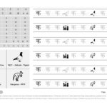 Learn-Hindi-Writing-Book-क